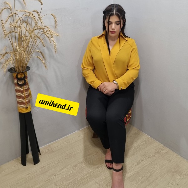 خرید اینترنتی شومیز کد 113