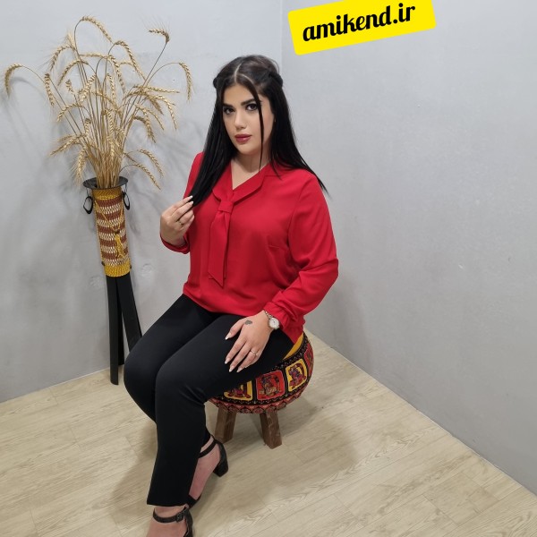 فروش اینترنتی شومیز کد 112